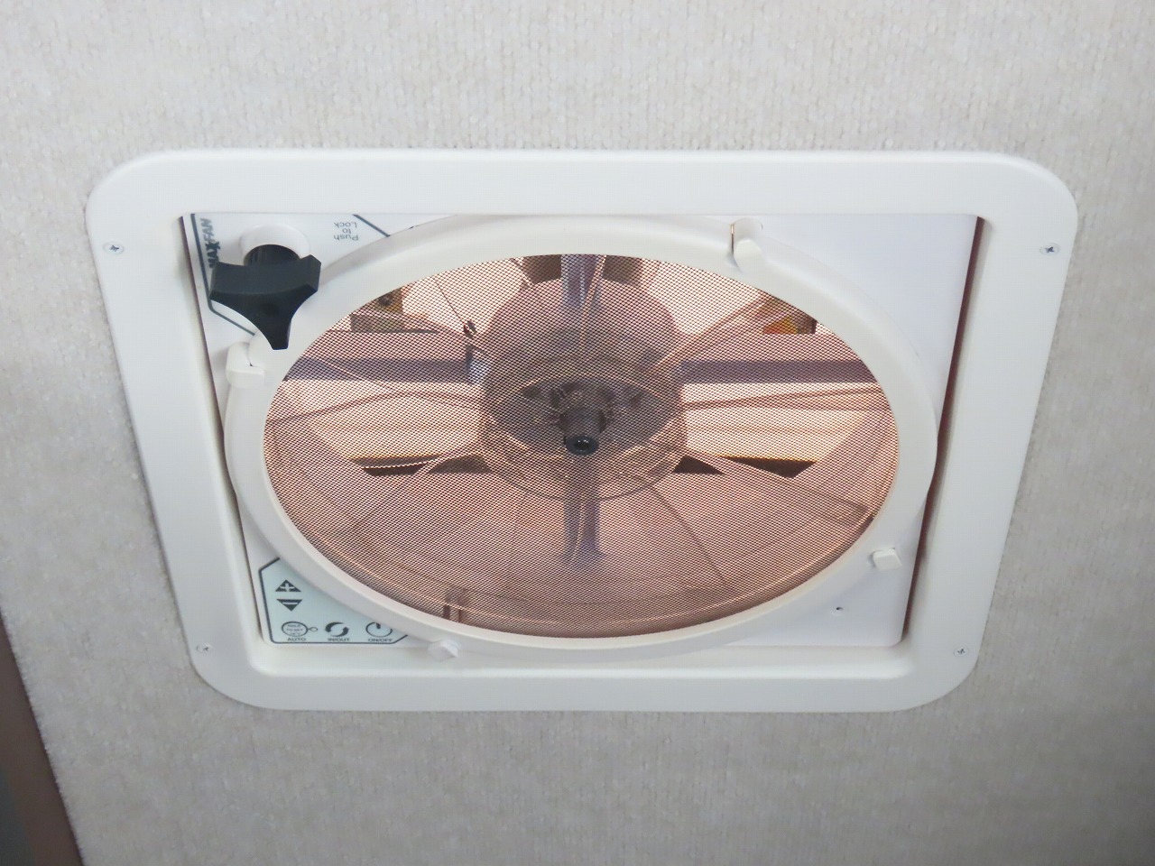 キャンピングカーキャブコン